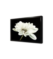 Çiçek Çerçeveli Mdf Tablo