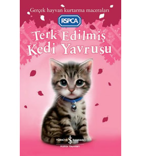 Terk Edilmiş Kedi Yavrusu