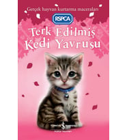 Terk Edilmiş Kedi Yavrusu