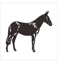 AT FOLYO STİCKER 200cm Uzunluk (Karışık)