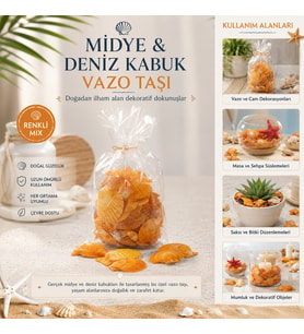 POŞETLİ RENKLİ MİX MİDYE - DENİZ KABUK VAZO TAŞI