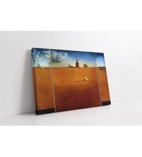 Dali Boijmans