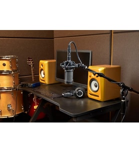 Audio-Technica At2050 Çoklu-Patern Kapasitif Mikrofon (Çok Renkli)