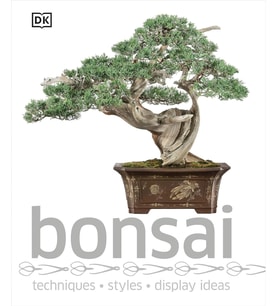 Bonsai Roman (Krem)