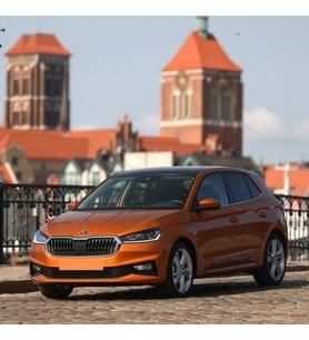 Plastech Skoda Fabia 2022-2026 Tekerlek Bijon Kapağı Gri 5 Adet 1Z0601173