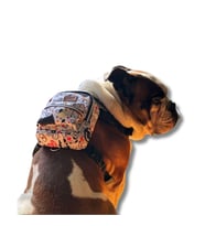 Lexroo Design,Çantalı Göğüs Tasması, Köpek Sırt Çantası