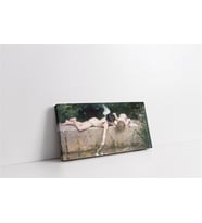Kurtarma 1894 Kanvas Tablo