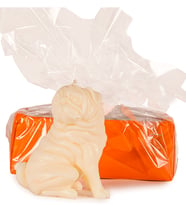 Beyaz Pug Mum Tasarım