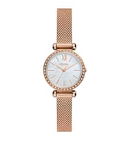 Fossil FBQ3897 Kadın Kol Saati