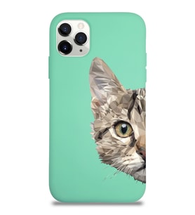 Apple iPhone 11 Pro Uyumlu Lansman Kılıf Catface Tasarımlı Altı Kapalı İçi Kadife Kaplı  Kapak (Şeffaf)