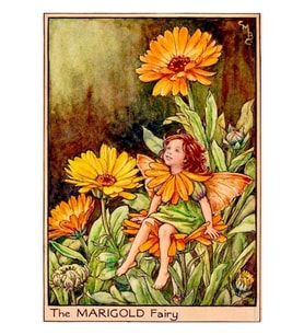 Cicely Mary Barker Tarafından “kadife Perisi” 1923 Tablo Ahşap Poster Dekoratif
