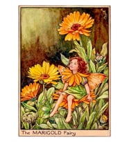 Cicely Mary Barker Tarafından “kadife Perisi” 1923 Tablo Ahşap Poster Dekoratif