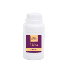 Mina Kokusu Çubuklu Koku Bambu Kokusu Yedek Dolum Şişesi 100Ml