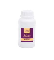 Mina Kokusu Çubuklu Koku Bambu Kokusu Yedek Dolum Şişesi 100Ml
