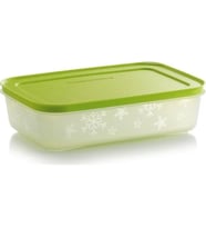 Tupperware Alaska 1.1 Lt Yatay Saklama Kabı