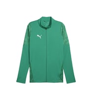 Puma Teamcup Training Jacket Erkek Futbol Antrenman Ceketi 65916505 Yeşil