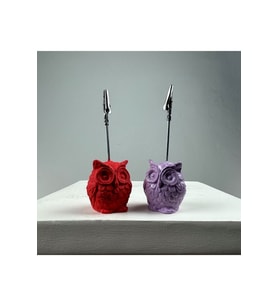 Baykuş Not Tutucu 2'li Set (lila - Mercan)