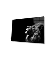 Aslan Cam Tablo 4mm Dayanıklı Temperli Cam (Çok Renkli)
