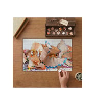 Boya Kalemleri Kabukları Tasarımı 240 parça Ahşap Puzzle Ahşap Kutuda MP03177