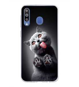 PrintiFy Samsung Galaxy M30 ile Uyumlu 1mm Slim Fit Kedi 2 050c Baskılı Şeffaf  Kılıf