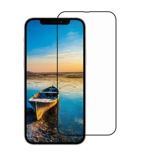 Ally iPhone 13 Mini 5.4 9D Full Tempered Cam Ekran Koruyucu-(5775) - SSSSSS7409-2553