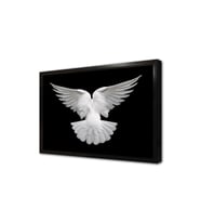 Güvercin Çerçeveli Mdf Tablo