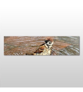 Serçe Kanvas Tablo 60x20cm (Karışık)