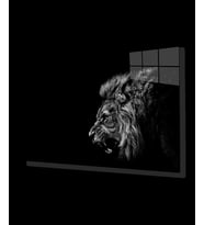 Aslan Hayvan Cam Tablo