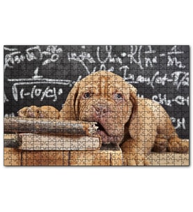 Cakapuzzle Kitapları Dişleyen Kahverengi Sharpy Yavrusu Puzzle Yapboz MDF (Ahşap) (120 Parça)