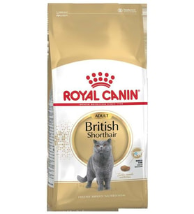 Royal Canin British Shorthair Yetişkin Kedi Maması 10 Kg.