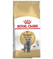 Royal Canin British Shorthair Yetişkin Kedi Maması 10 Kg.