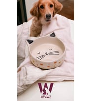 WPAWZ Seramik Mama ve Su Kabı 300 ml. Gold