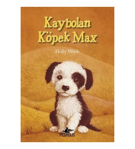 Kaybolan Köpek Max