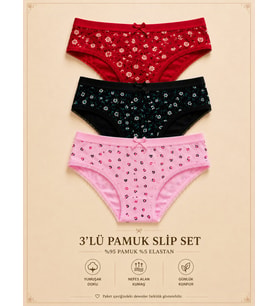 Intive Comfort Desenli Beli Yazılı Lastikli Lacivert/Pembe/Kırmızı 3'lü Slip Set