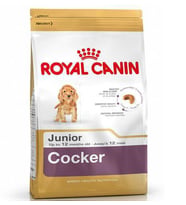 Royal Canin Cocker Junior Yavru Köpek Maması 3 Kg