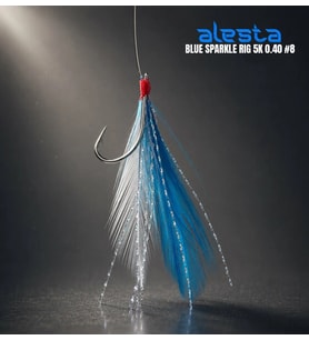 ALESTA BLUE SPARKLE RIG X0253 5 KÖSTEK HAZIR TAKIM 0.40MM NO:6 İĞNE