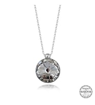 Swarovski Crystal Taşlı Çerçeveli Gümüş Kadın Kolye