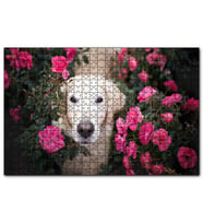 Cakapuzzle Beyaz Golden Retriever Çiçekler Arasında  Puzzle Yapboz MDF (Ahşap) (120 Parça)