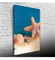 Deniz Yıldızı ve İstiridye Kanvas Tablo 50 x 70