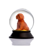 Snoowg Cam ve Reçine Altın Köpek Patiler Toy Poodle (Tarçın) Kar Küresi Hediye