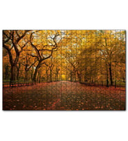 Cakapuzzle Sonbahar Sarı Kızıl Yapraklar Ağaçlı Yol  Puzzle Yapboz MDF (Ahşap) (120 Parça)