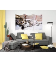 KEDİ MDF TABLO-2572 MODEL-B