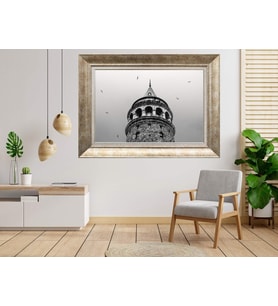 Gümüş Çerçeveli Tablo nb380