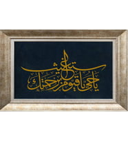 GÜMÜŞ ÇERÇEVELİ TABLO N847