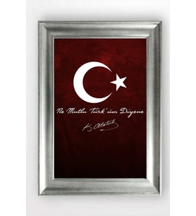 GÜMÜŞ ÇERÇEVELİ TABLO A1293