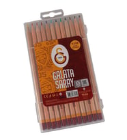Kuru Boya 12 li Uzun Lisanslı Orjinal 1 Paket 12 Renk Kuruboya Galatasaray Taraftar Kuru Boya (Çok Renkli)