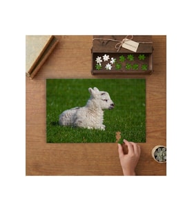 Çimenlerde Yatan Minik Kuzu Tasarımı 240 parça Ahşap Puzzle Ahşap Kutuda MP02143