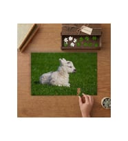Çimenlerde Yatan Minik Kuzu Tasarımı 240 parça Ahşap Puzzle Ahşap Kutuda MP02143