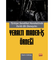 Türkiye Sendikal Hareketinde Farklı Bir Deneyim: YERALTI MADEN-İŞ ÖRNEĞİ