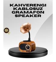 Kablosuz Retro Radyo Hoparlör 5w Güçlü Ses Usb Hafıza Kart Destekli